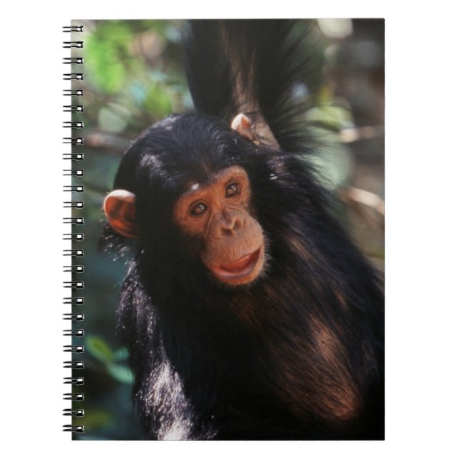 Young Chimpanzee Spiral Notebook (Front)