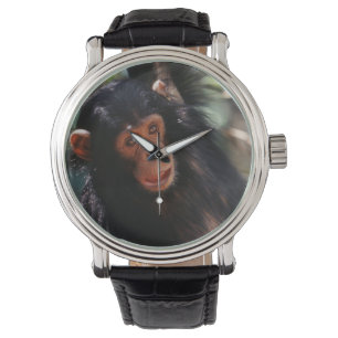 Young Chimpanzee Watch