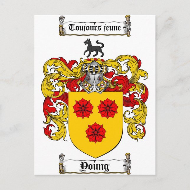 Young Coat of Arms / Young Family Crest Postcard (Front)