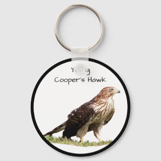 Young Cooper's Hawk Key Ring