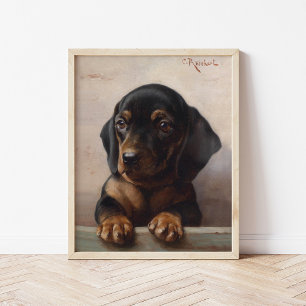 Young Dachshund   Carl Reichert Poster