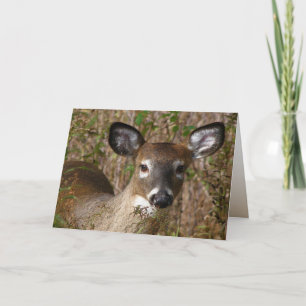 Young Deer Fathers Day Card