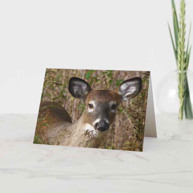 Young Deer Fathers Day Card (Front)