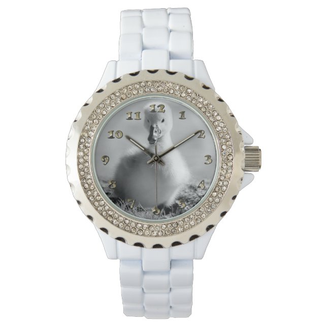 Young Duckling Swan Watch (Front)