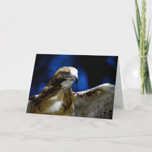 Young eagles fly away(card) card