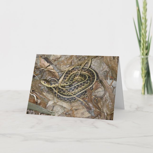 Young Eastern Garter Snake Coordinating Items Holiday Card (Front)