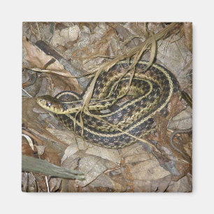 Young Eastern Garter Snake Coordinating Items Magnet