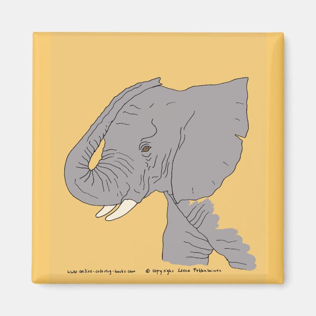 Young Elephant Magnet (Front)