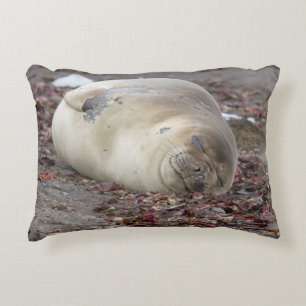Young elephant seal decorative cushion