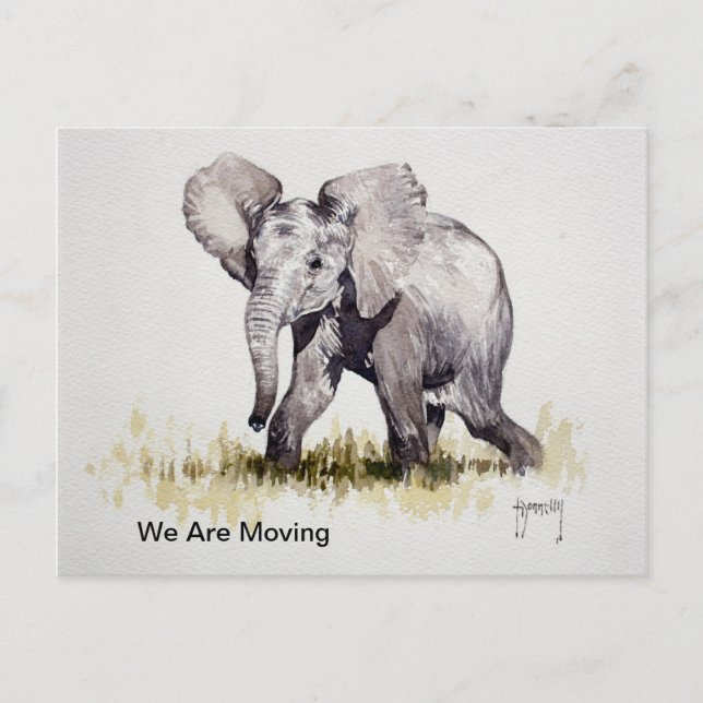 Young Elephant We Are Moving Post Card (Front)