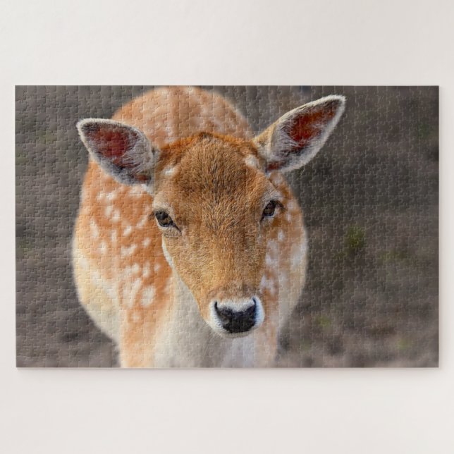 Young fallow deer jigsaw puzzle (Horizontal)