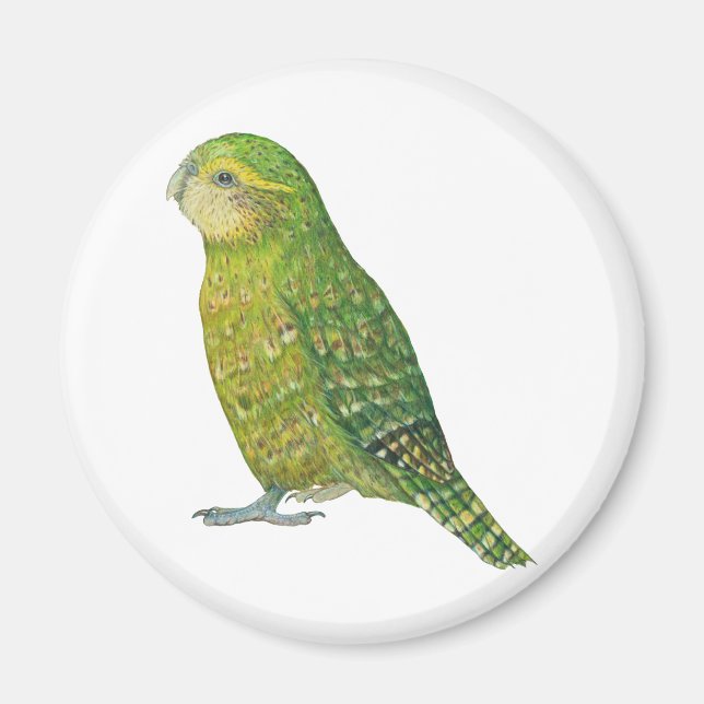 Young Female Kakapo Magnet (Front)