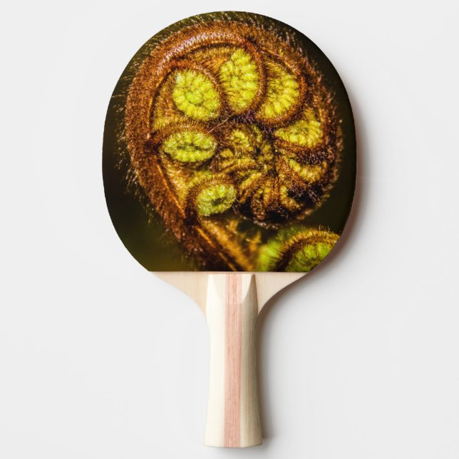 Young Fern Leaves Ping Pong Paddle (Front)