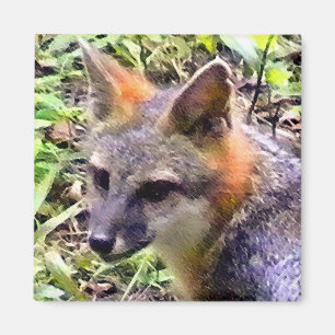YOUNG FOX MAGNET
