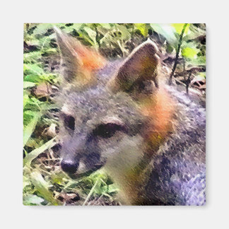 YOUNG FOX MAGNET