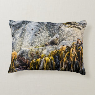 Young Fur Seal On The Rock Decorative Cushion