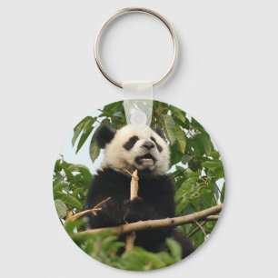 Young giant panda - key chain