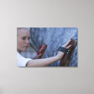 young girl brushing white horse 2 canvas print
