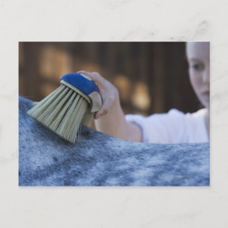 young girl brushing white horse postcard
