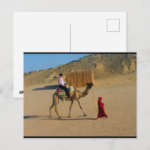 Young Girl With Camel Postcard