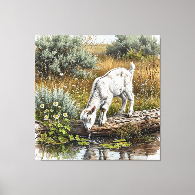 Young Goat Drinking Water from a Stream Canvas Print (Front)