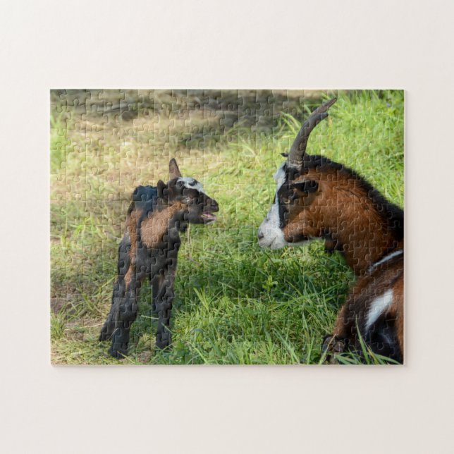 Young goat lamb jigsaw puzzle (Horizontal)
