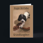 ‘YOUNG GRANDDAUGHTER’ HAPPY BIRTHDAY CARD<br><div class="desc">TELL YOUR ***GRANDDAUGHTER*** "WITH THIS CARD" THAT YOU WISH HER A "VERY HAPPY BIRTHDAY" AND YOU **LOVE** HER. THANKS FOR STOPPING BY ONE OF MY EIGHT STORES.</div>