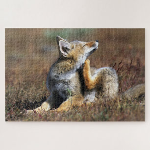 Young Gray Fox at Torres Del Paine National Park Jigsaw Puzzle