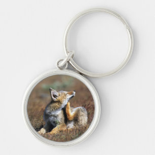 Young Gray Fox at Torres Del Paine National Park Key Ring