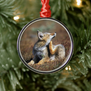 Young Gray Fox at Torres Del Paine National Park Metal Tree Decoration