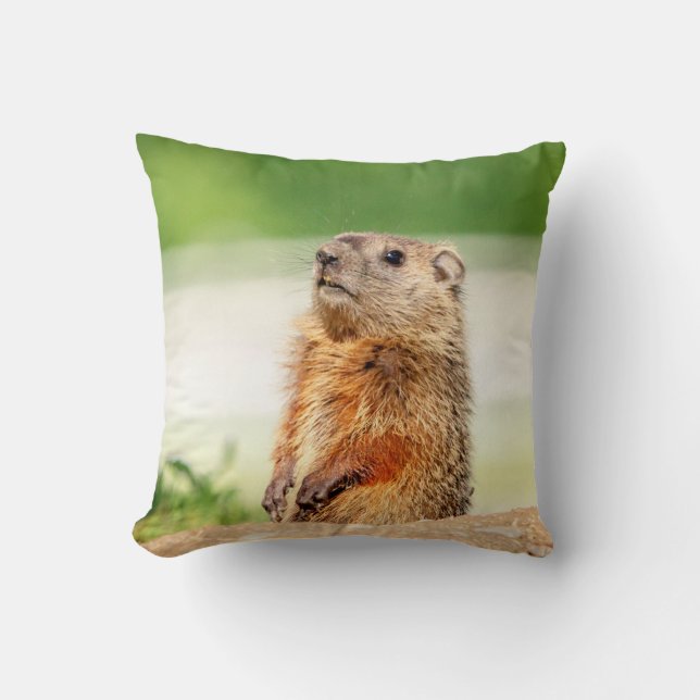 Young Groundhog Cushion (Front)