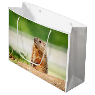 Young Groundhog Large Gift Bag