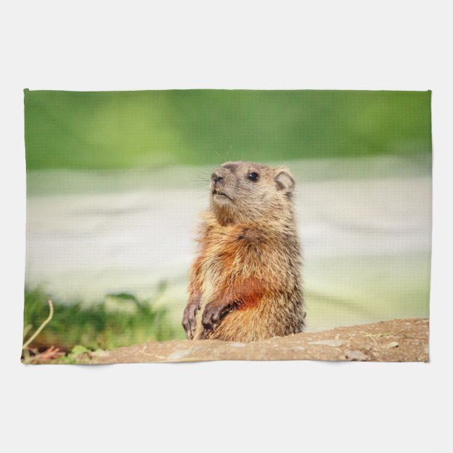 Young Groundhog Tea Towel (Horizontal)