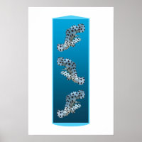 Young Grouper - Design gradient blue background | 