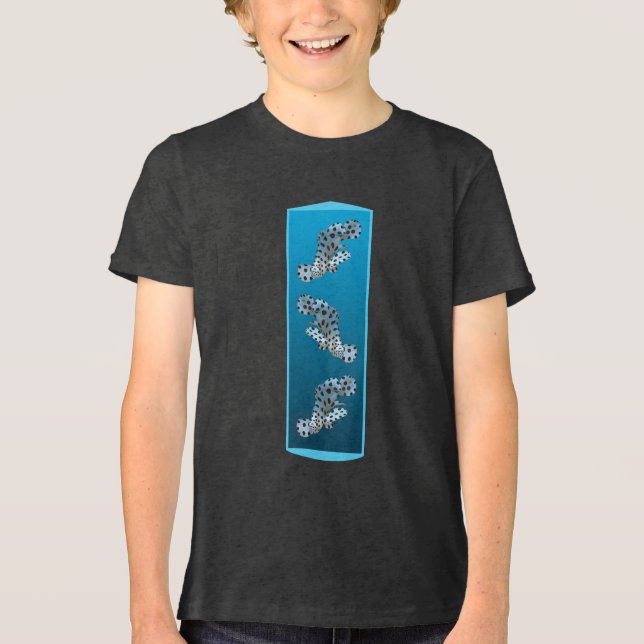 Young Grouper - Design gradient blue background |  Tri-Blend Shirt (Front)