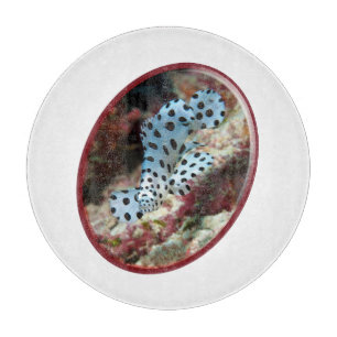 Young Grouper - Oval Photographic Design of Fish   Cutting Board