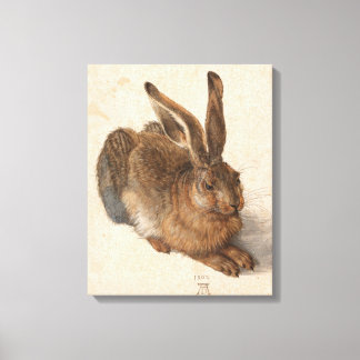 Young Hare | Albrecht Dürer Canvas Print