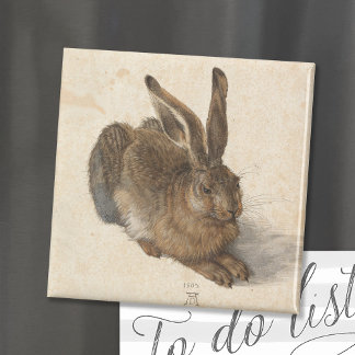 Young Hare | Albrecht Dürer Magnet