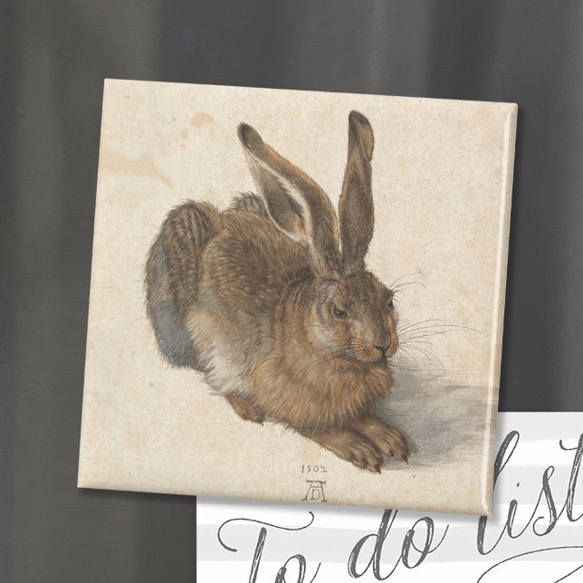 Young Hare | Albrecht Dürer Magnet (Creator Uploaded)