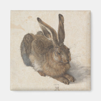 Young Hare by Albrecht Durer Magnet