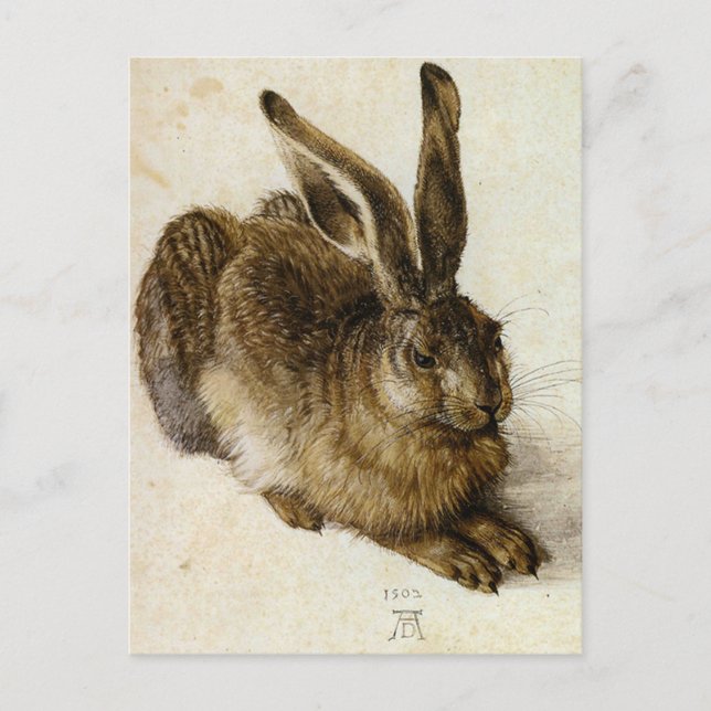 ‘Young Hare’ by Albrecht Dürer Postcard (Front)