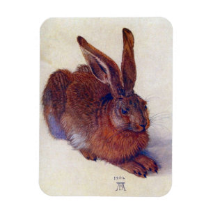 Young Hare by Albrecht Durer, Renaissance Fine Art Magnet
