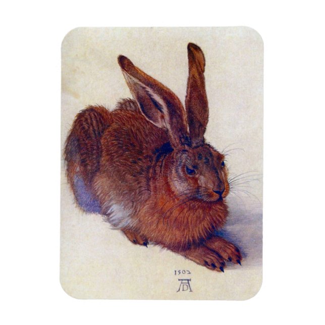 Young Hare by Albrecht Durer, Renaissance Fine Art Magnet (Vertical)