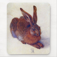 Young Hare by Albrecht Durer, Renaissance Fine Art