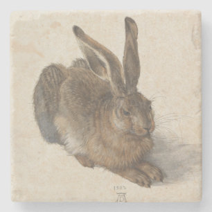 Young Hare by Albrecht Durer Stone Coaster