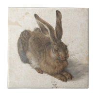 Young Hare by Albrecht Durer