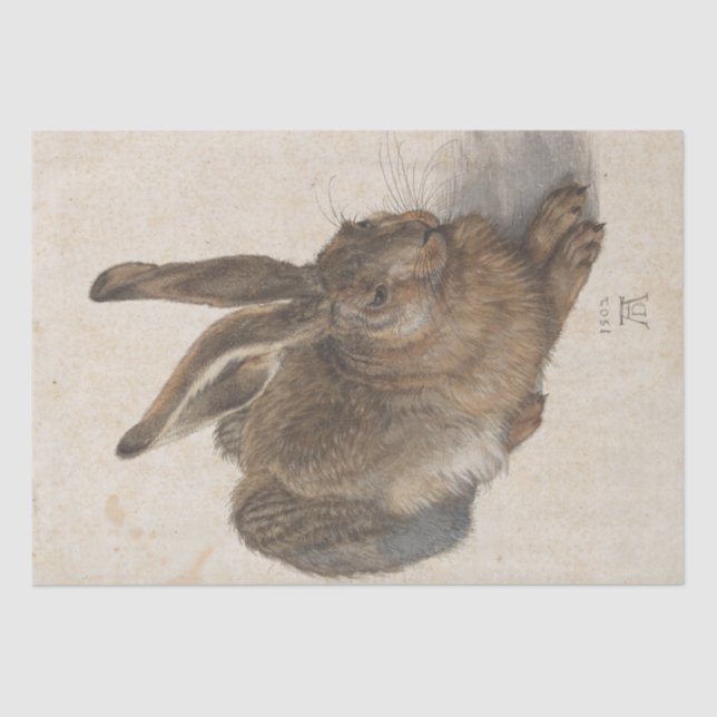 Young Hare by Albrecht Durer Tissue Paper (Front)