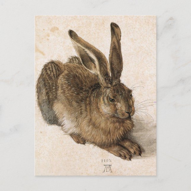 'Young Hare' Postcard (Front)