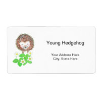 Young Hedgehog & Wild Strawberry Flowers  