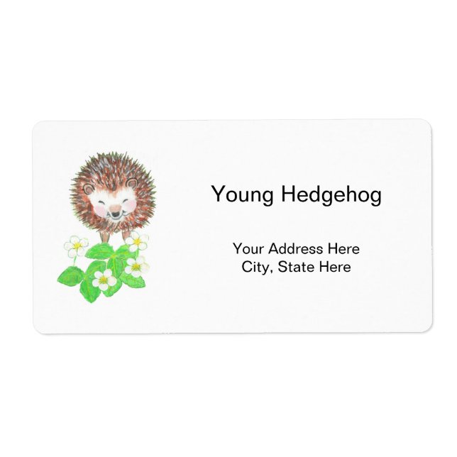 Young Hedgehog & Wild Strawberry Flowers   (Front)